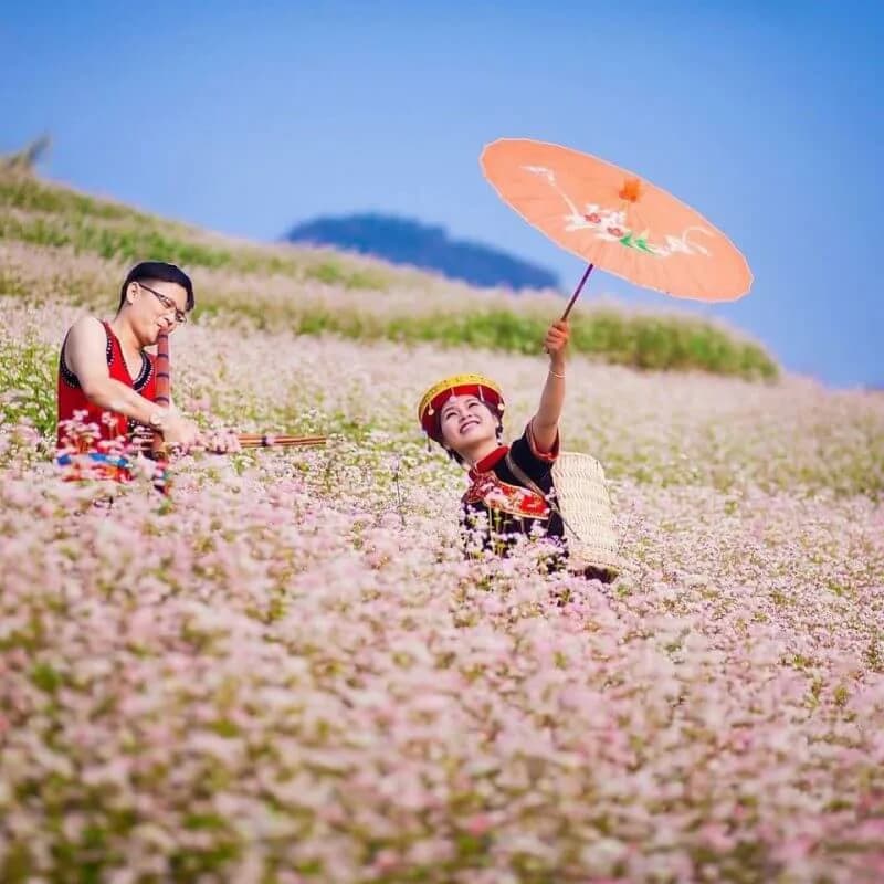 Lễ hội Hoa Tam Giác Mạch Hà Giang lần thứ VI năm 2020