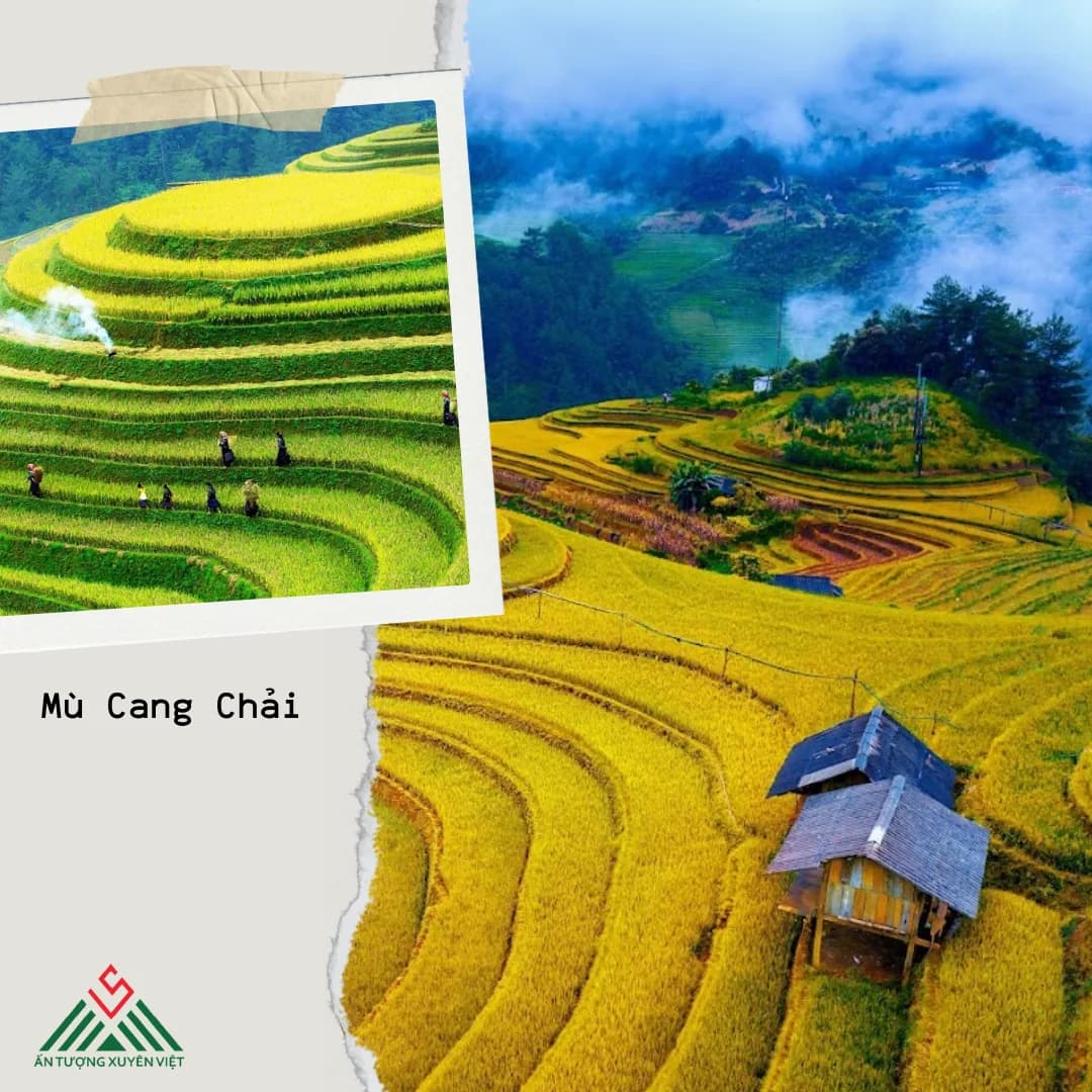 TOUR ĐỒI MÂM XÔI – RỪNG TRÚC – ĐỒI MÓNG NGỰA - MÙ CANG CHẢI 2N1Đ