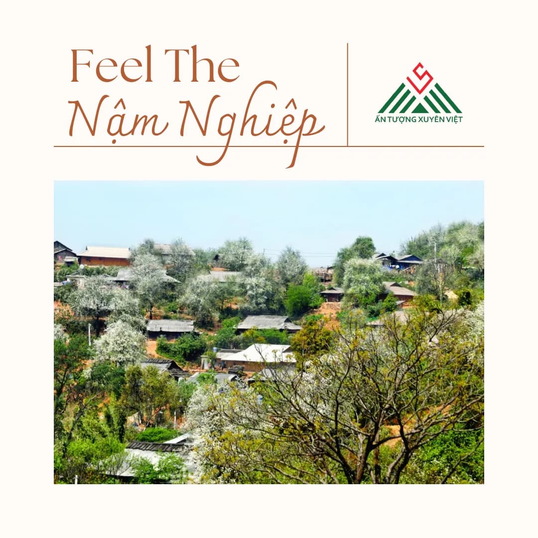 Tắm khoáng nóng bản Lướt - Ngắm hoa sơn tra Nậm Nghiệp