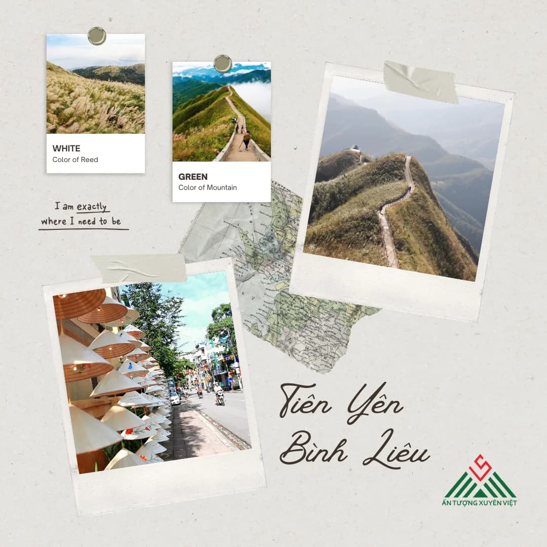 Hà Nội - Tiên Yên - Bình Liêu thiên đường cỏ lau