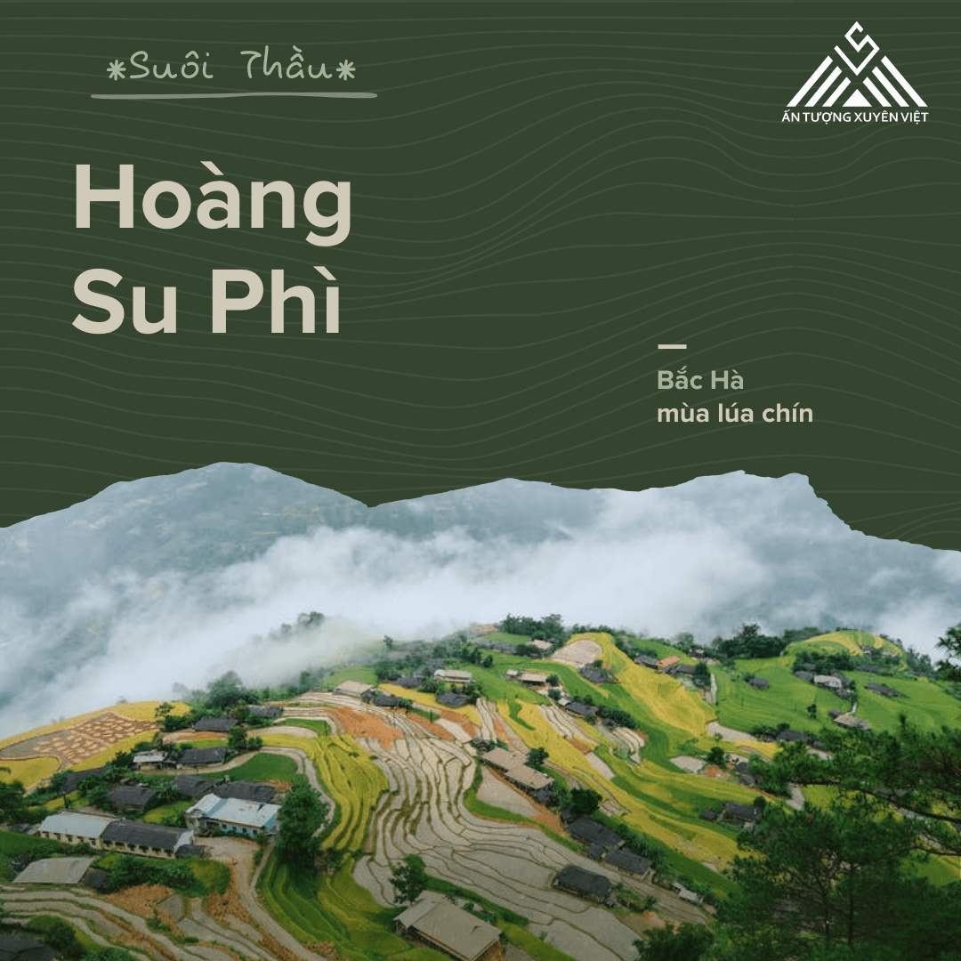 Hoàng Su Phì - Suôi Thầu - Bắc Hà mùa lúa chín