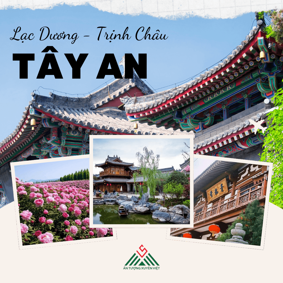 Say đắm mùa hoa mẫu đơn ở Lạc Dương