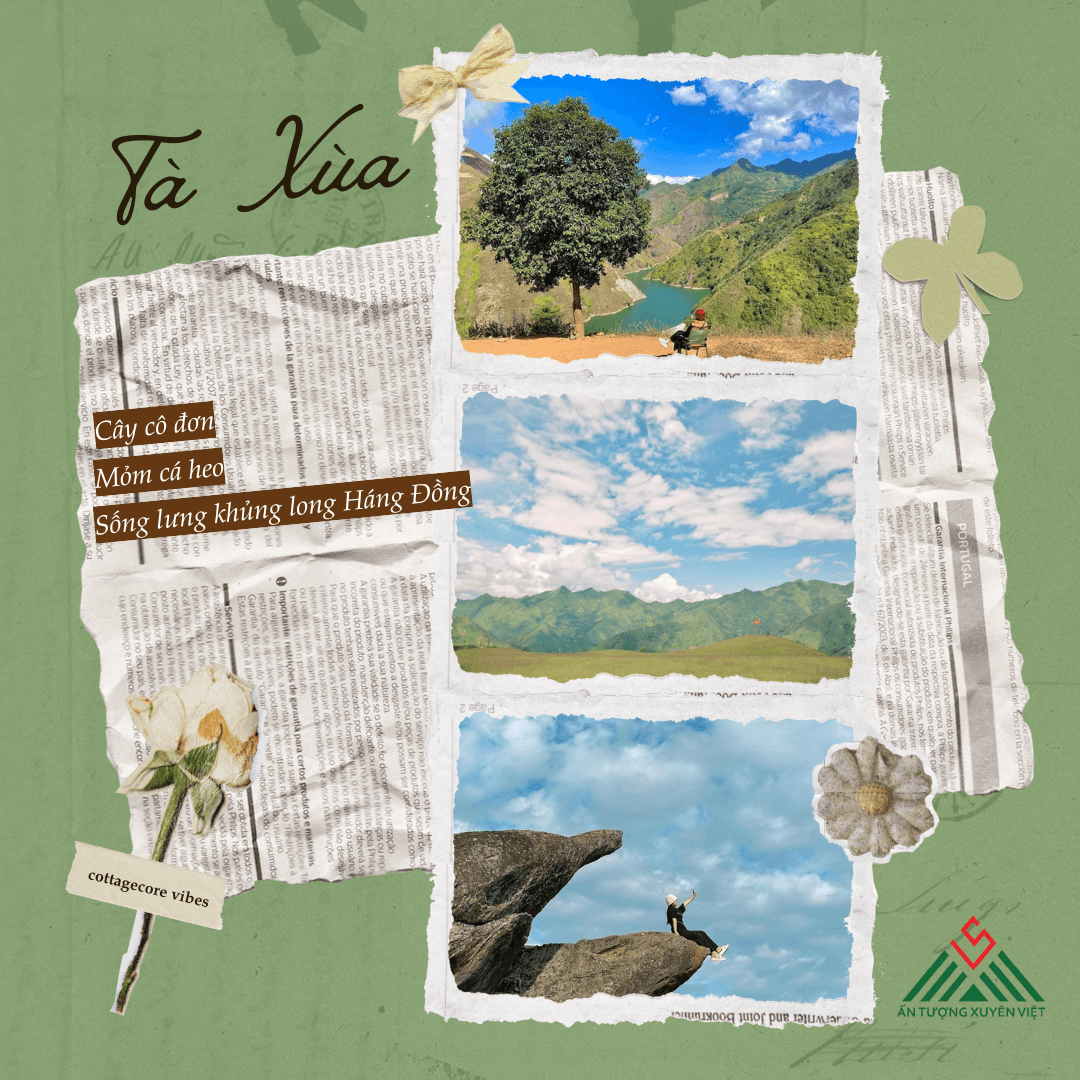 HÀ NỘI - SĂN MÂY TÀ XÙA – THẢO NGUYÊN – ĐỈNH GIÓ 2n1đ